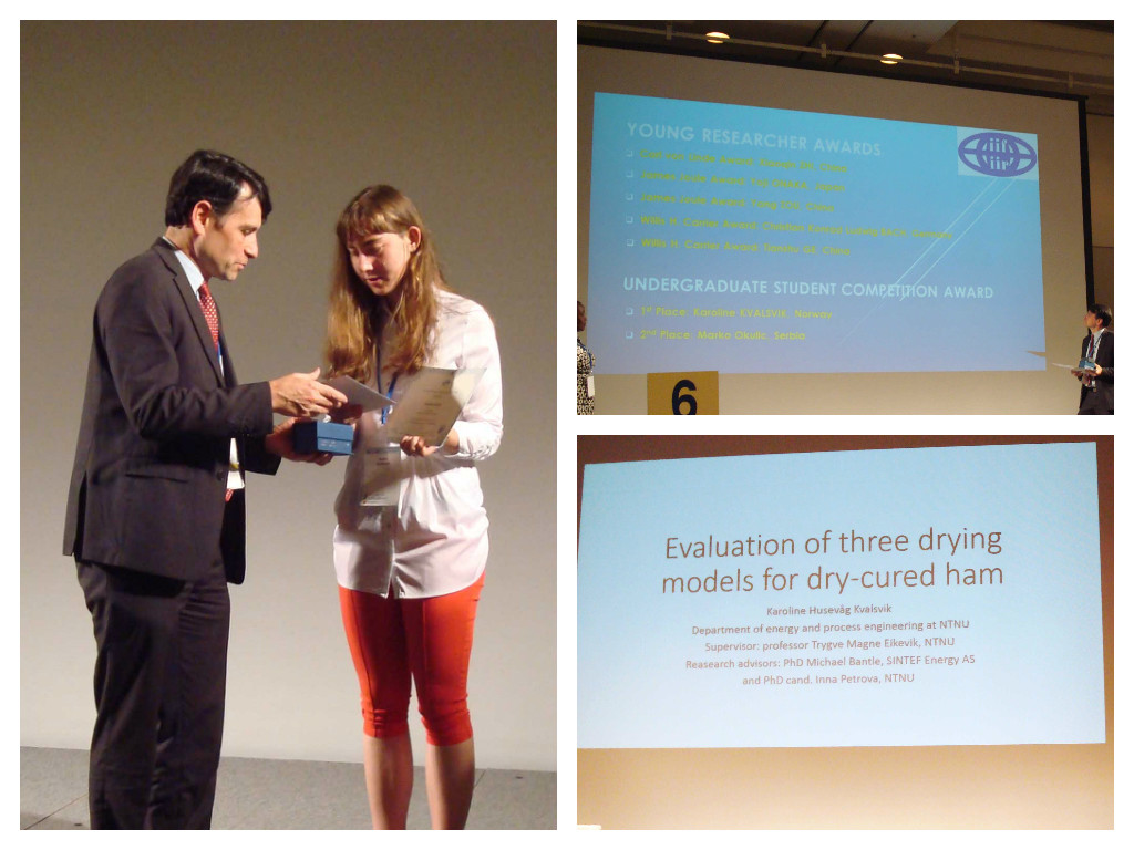 Karolines project work "Evaluation of three drying models for dry-cured ham production" won the first price for undergraduate student work at the 24th International Congress of Refrigeration (ICR2015).