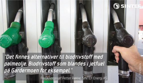 biodrivstoff uten palmeolje