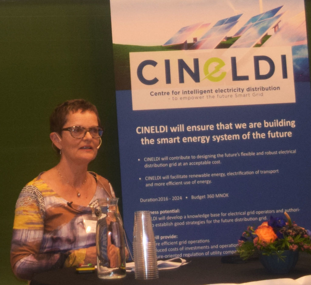  Gerd Kjølle is a Chief Scientist at SINTEF and the new Centre manager for CINELDI. She introduced CINELDI in short: It has a duration for 8 years, a budget of 360 MNOK and 40 partners within research, power grid companies, system operators, technology providers, member organizations and authorities. In addition it has international partners from Europe, USA and Japan.