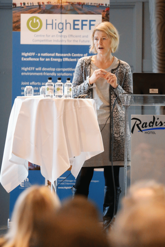 Tone Ibenholt from The Research Council of Norway has high expectations from HighEFF: on science, education and communicating the results. She also mentioned that HighEFF might be the largest centre funded by the Research Council ever, which raises the expectations accordingly. Foto: SINTEF/Gry Karin Stimo. 