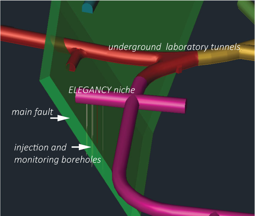 Configuration of the Mont Terry laboratory tunnels, the nice that will be dedicated to the ELEGANCY experiments and the boreholes for injection and monitoring (courtesy of Dr. C. Madonna).