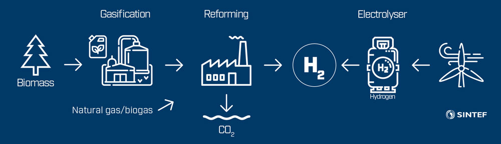 Figure 1: Hydrogen production pathways from renewable sources and natural gas.