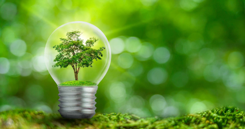 Lightbulb containing tree, on forest floor