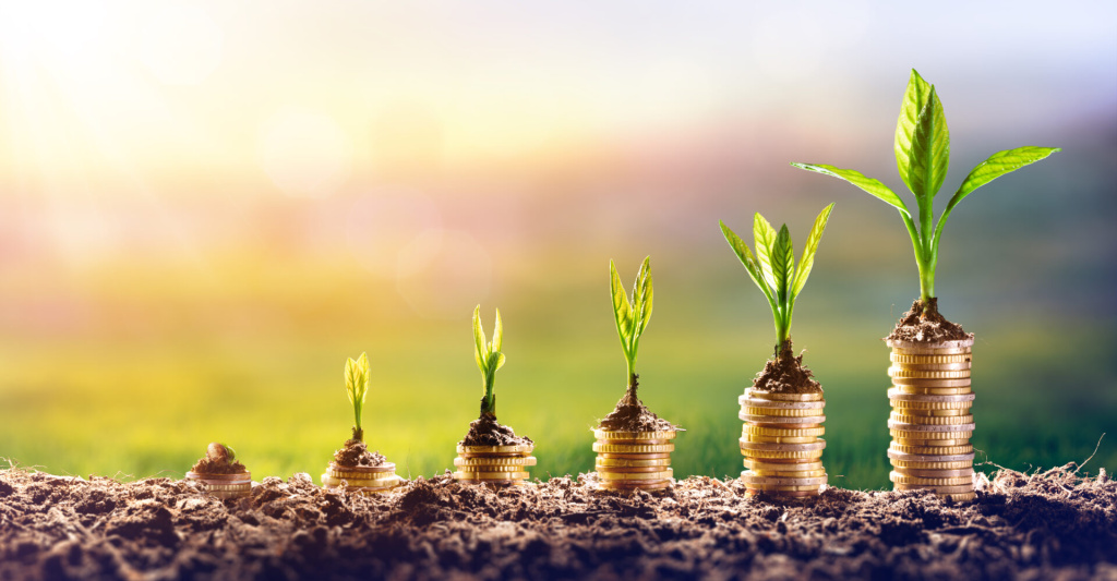 Plants growing on top of stacks of coins at varying heights