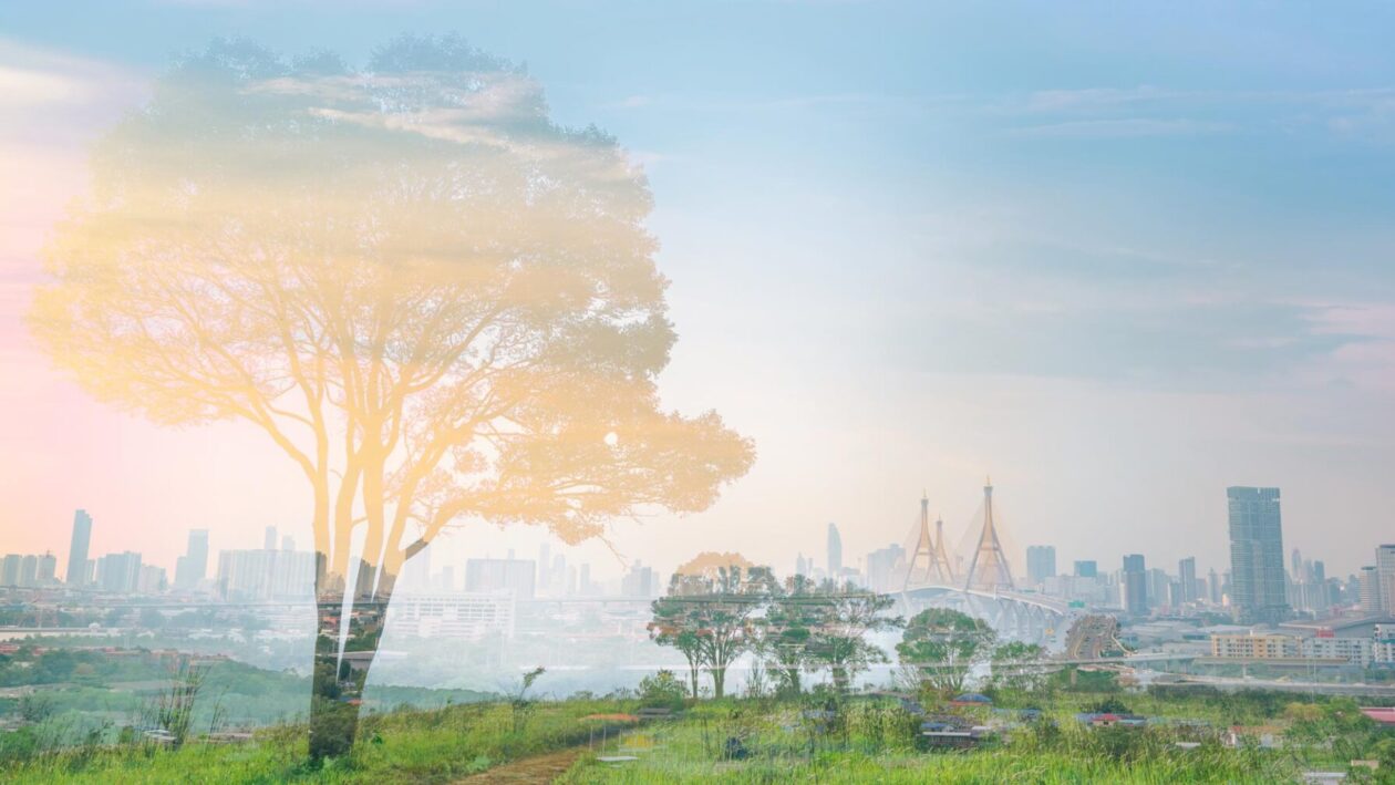Composite image showing a tree with a city in the background.
