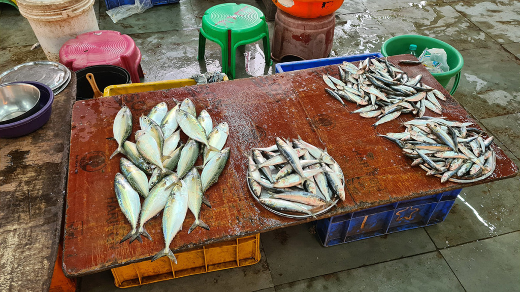 Several fish on a brown table