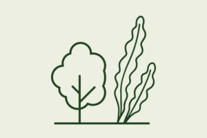 COP30 Bioenergy icon