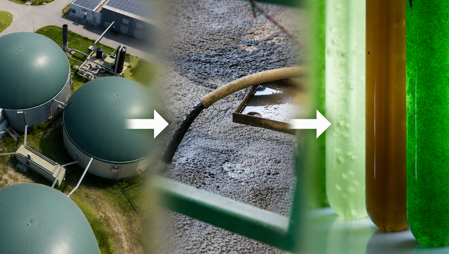 Collage showing biogas, slurry and microalgae